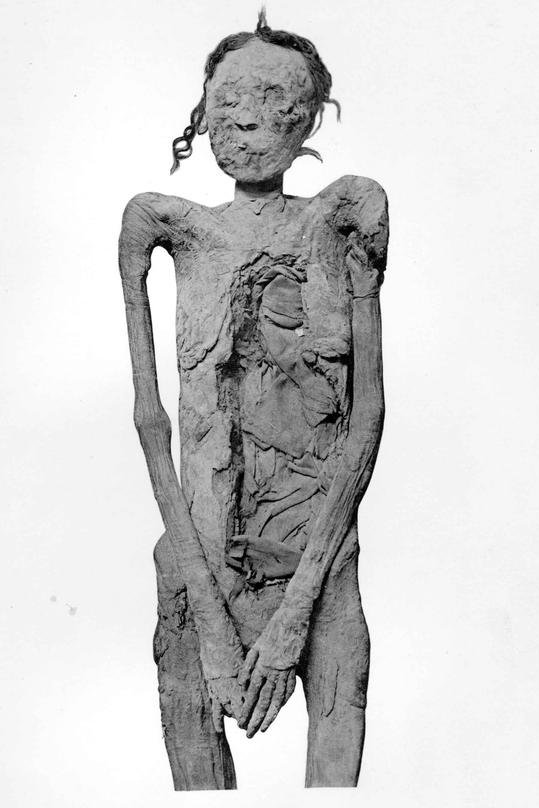 Ahmose Sitkamose