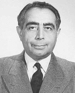 Ali Amini