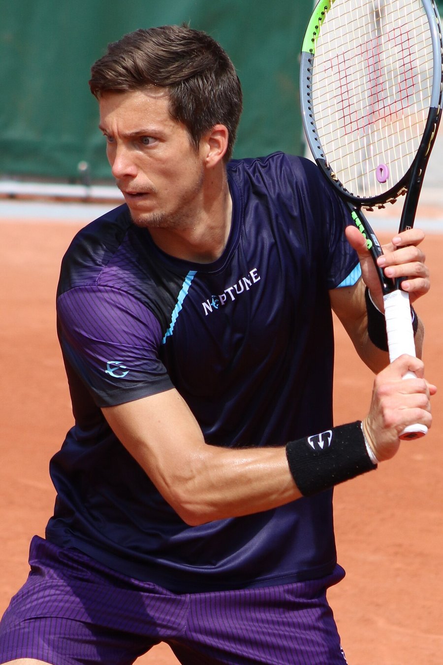 Aljaz Bedene