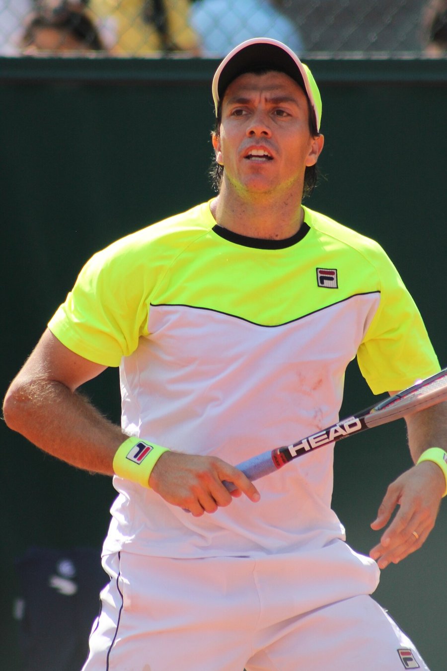 Carlos Berlocq