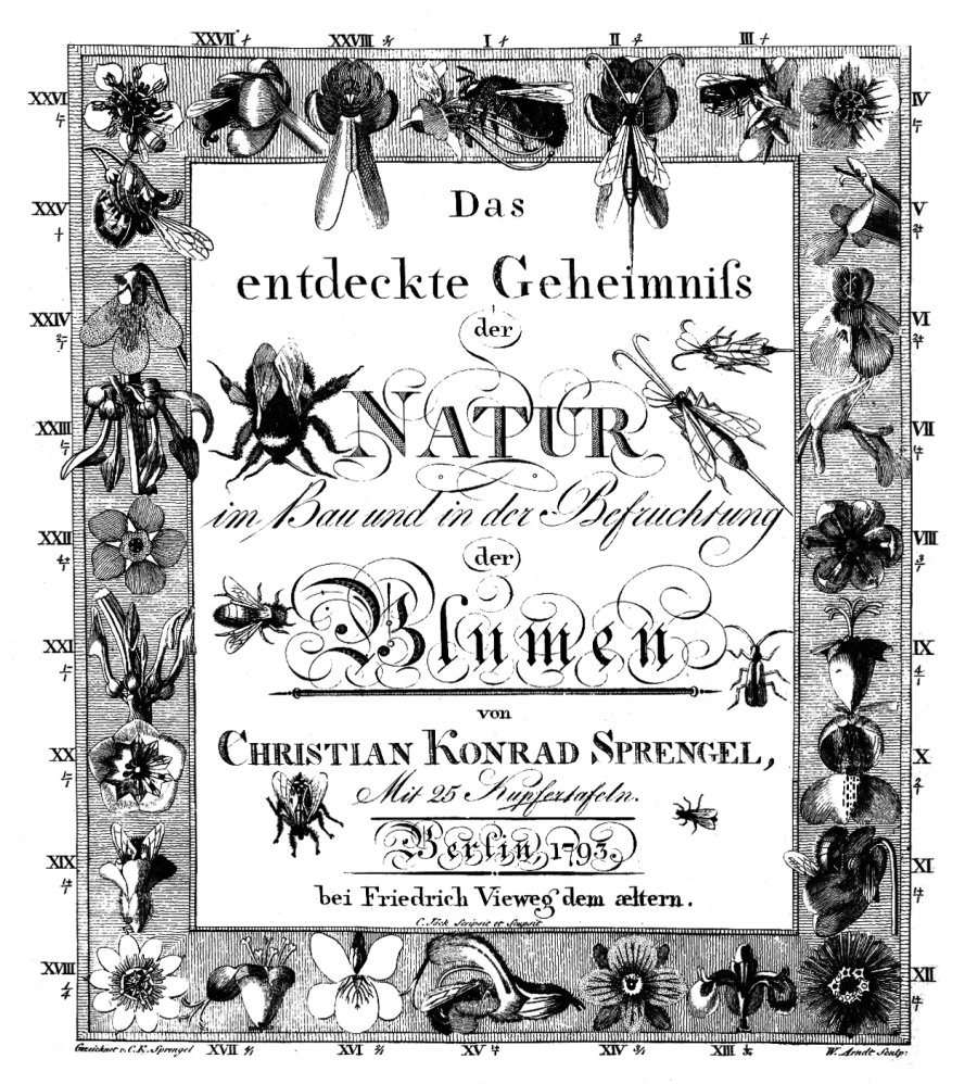 Christian Konrad Sprengel