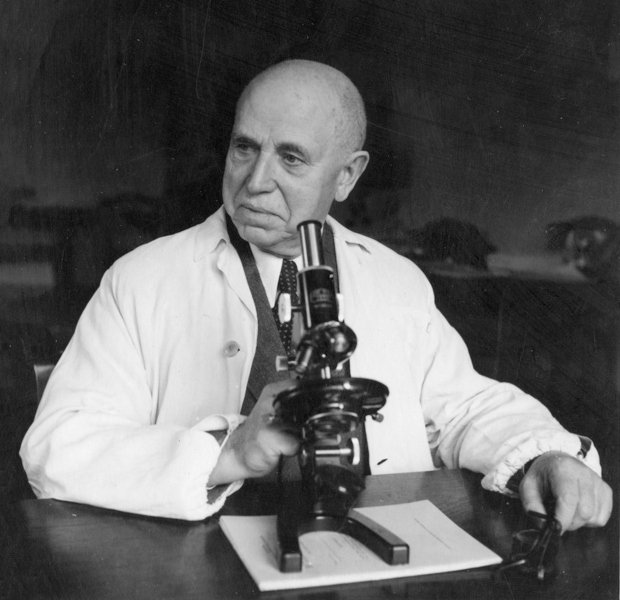 Constantin Ion Parhon