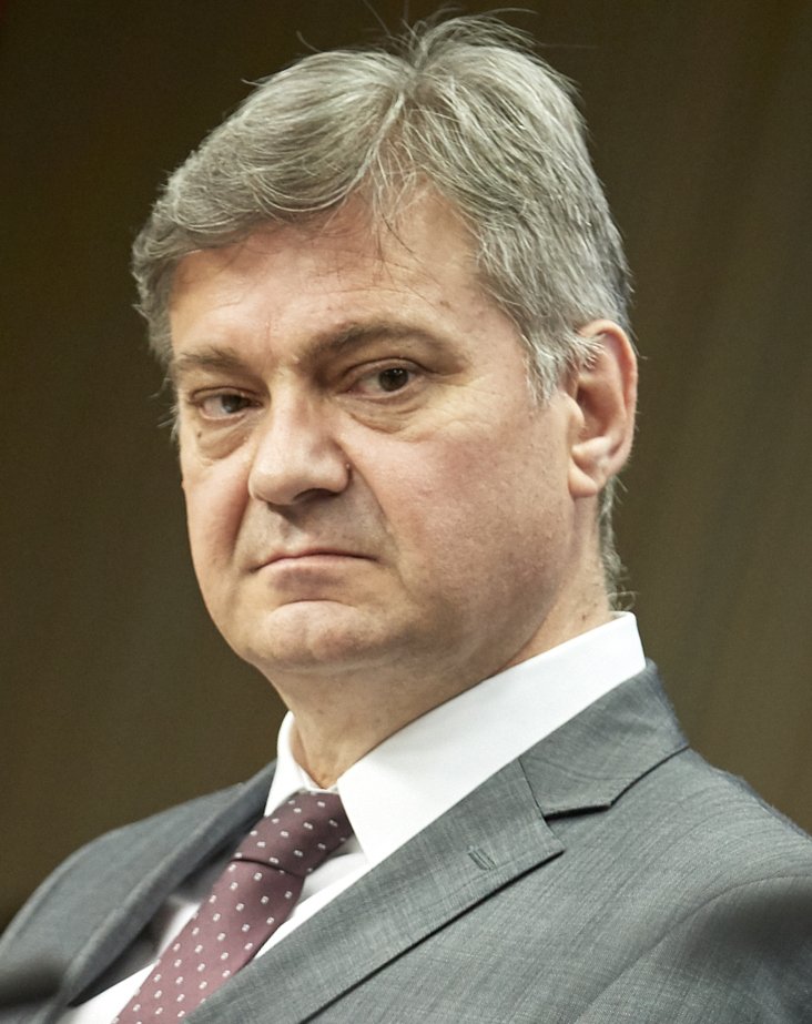 Denis Zvizdic