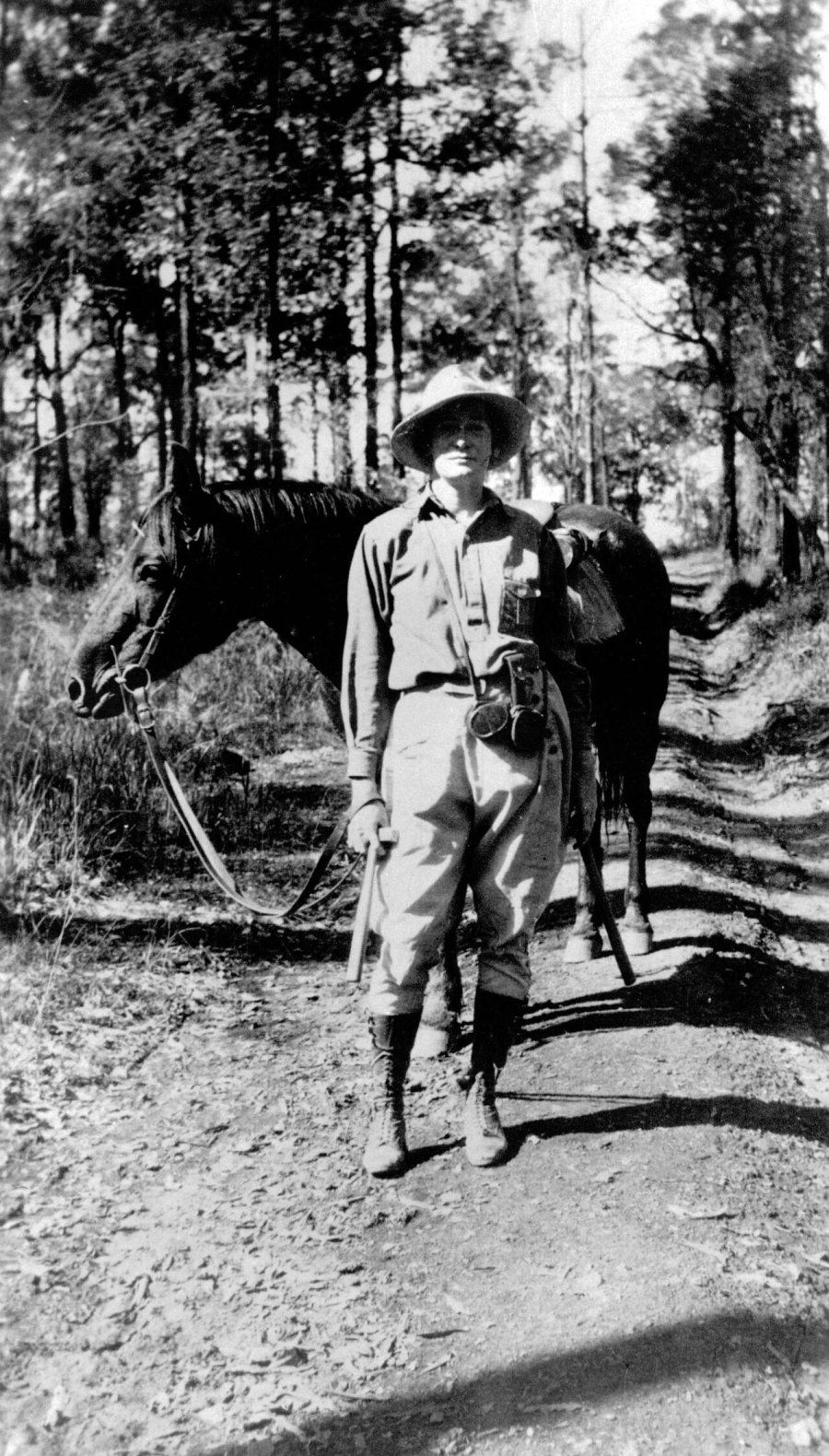 Dorothy Hill