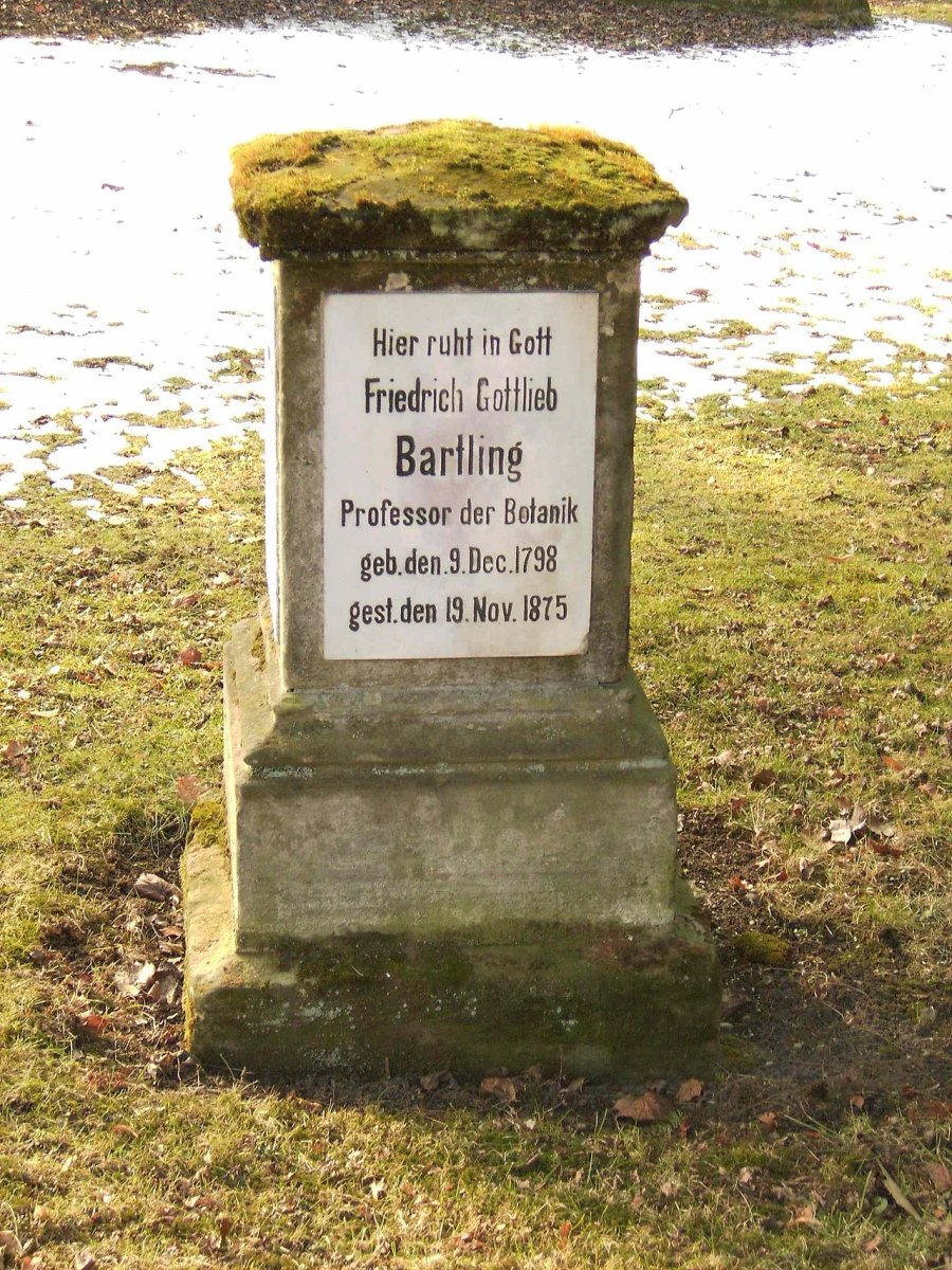 Friedrich Gottlieb Bartling