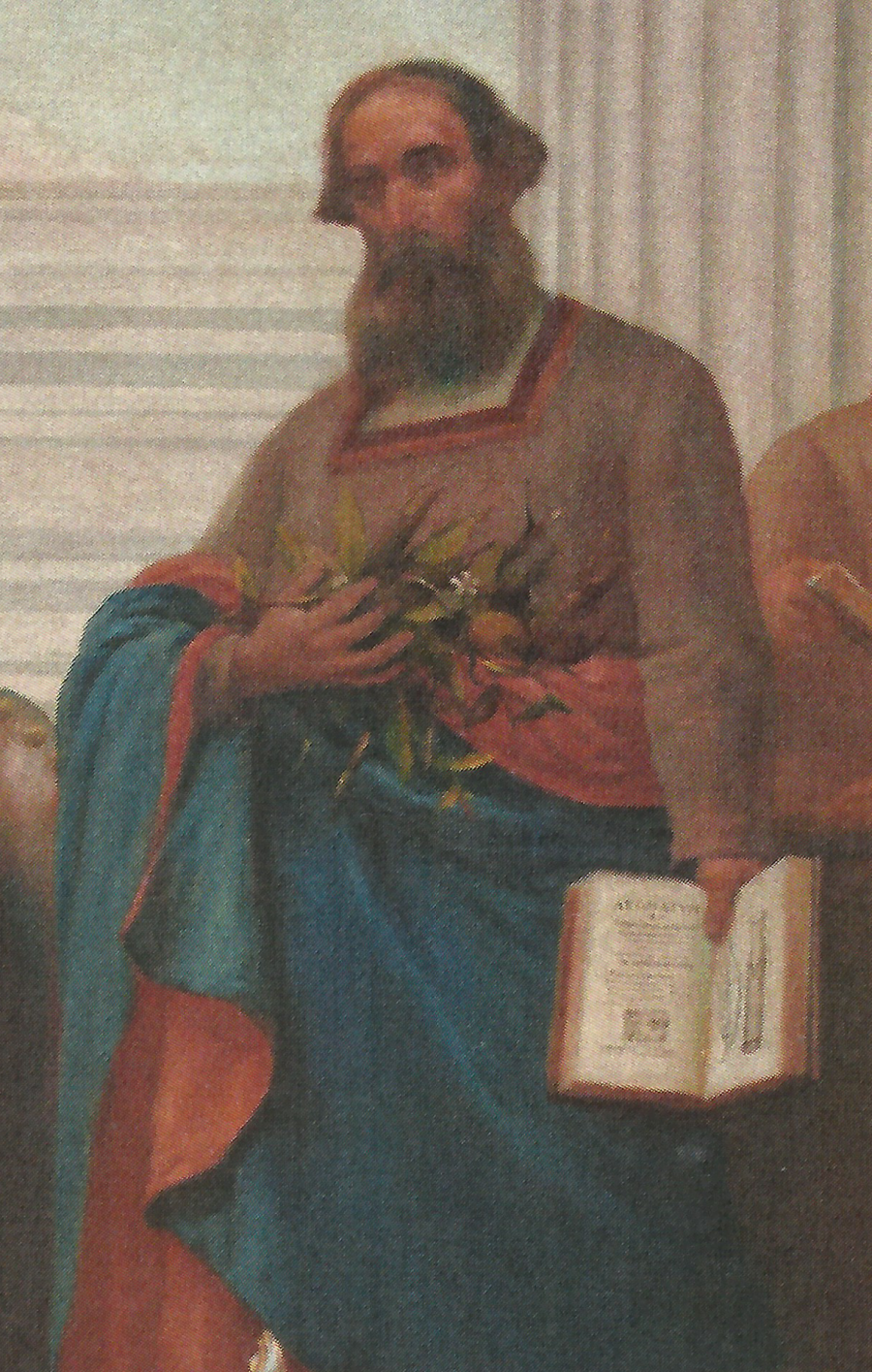 Garcia De Orta
