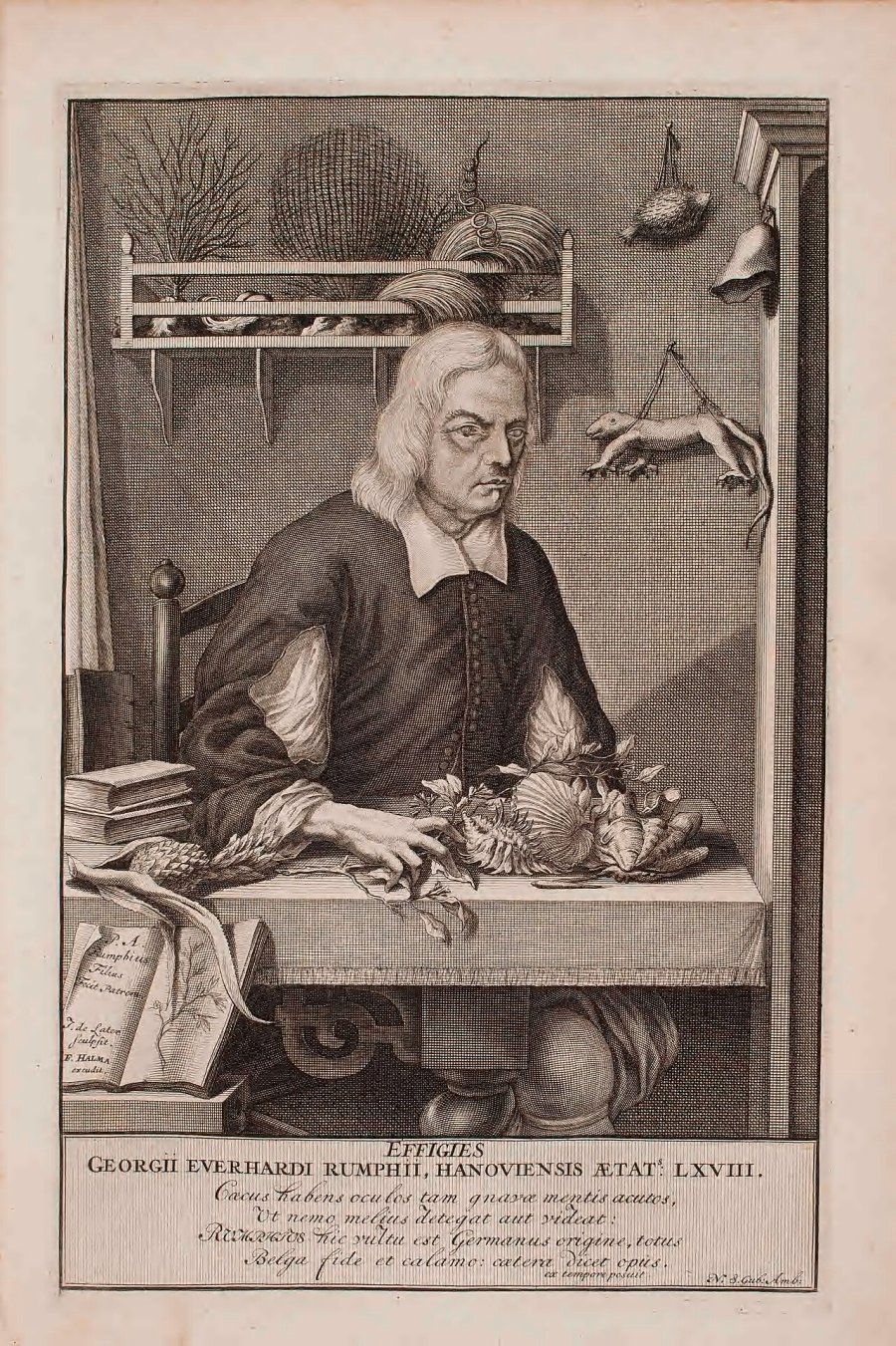 Georg Eberhard Rumphius