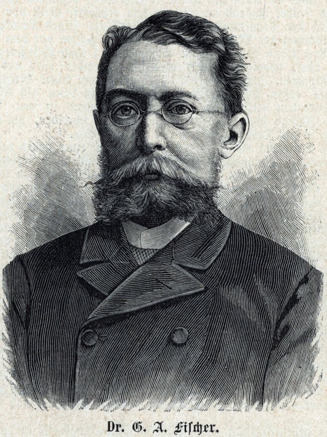 Gustav Fischer Explorer