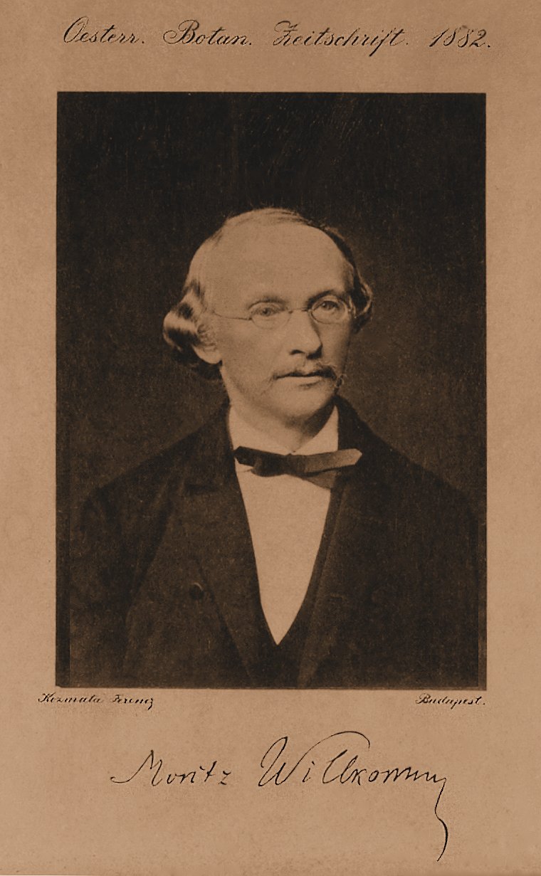 Heinrich Moritz Willkomm