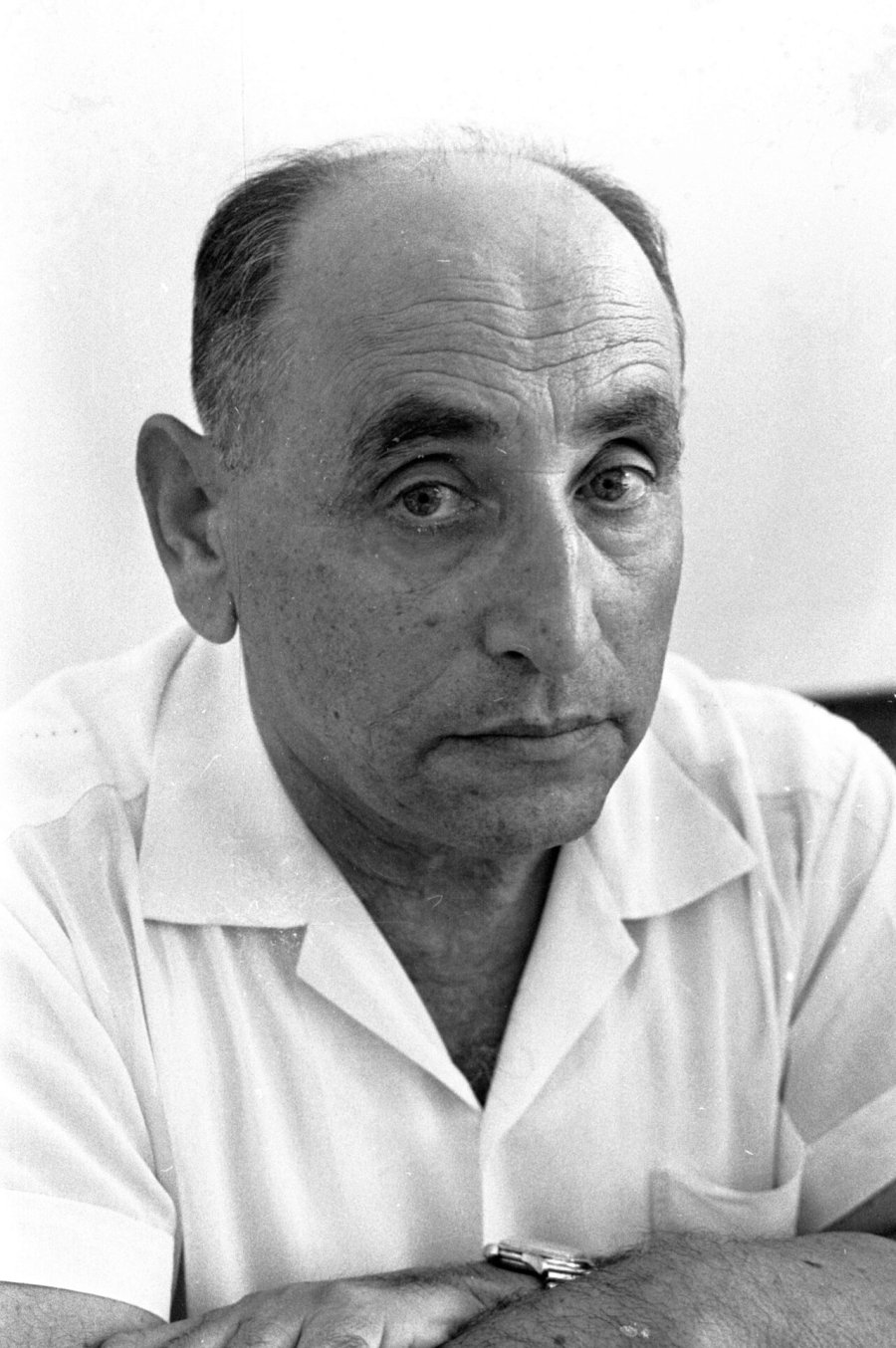 Isser Harel