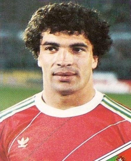 Joao Pinto Footballer Born 1961