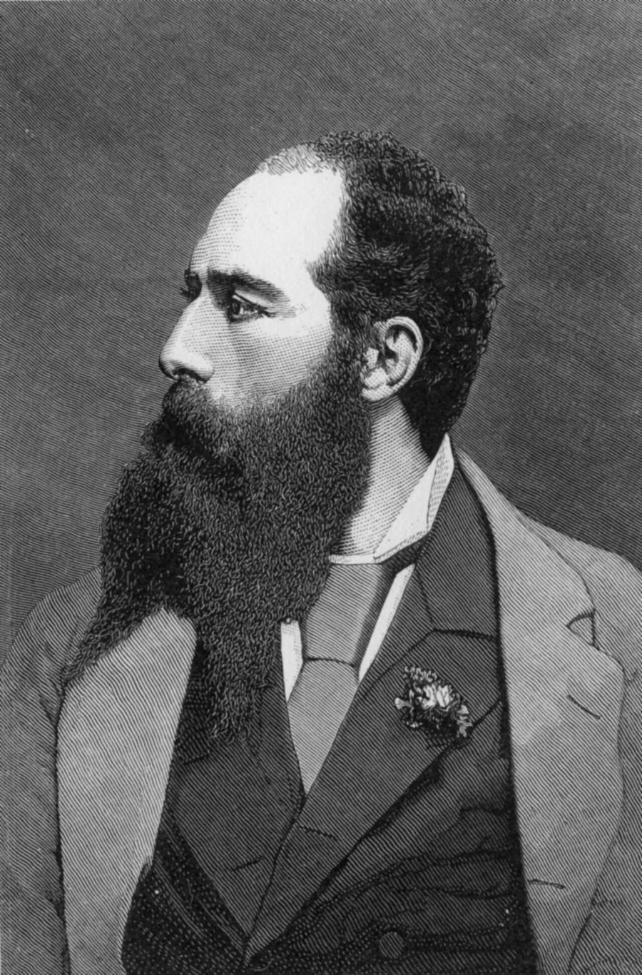 Luigi D Albertis