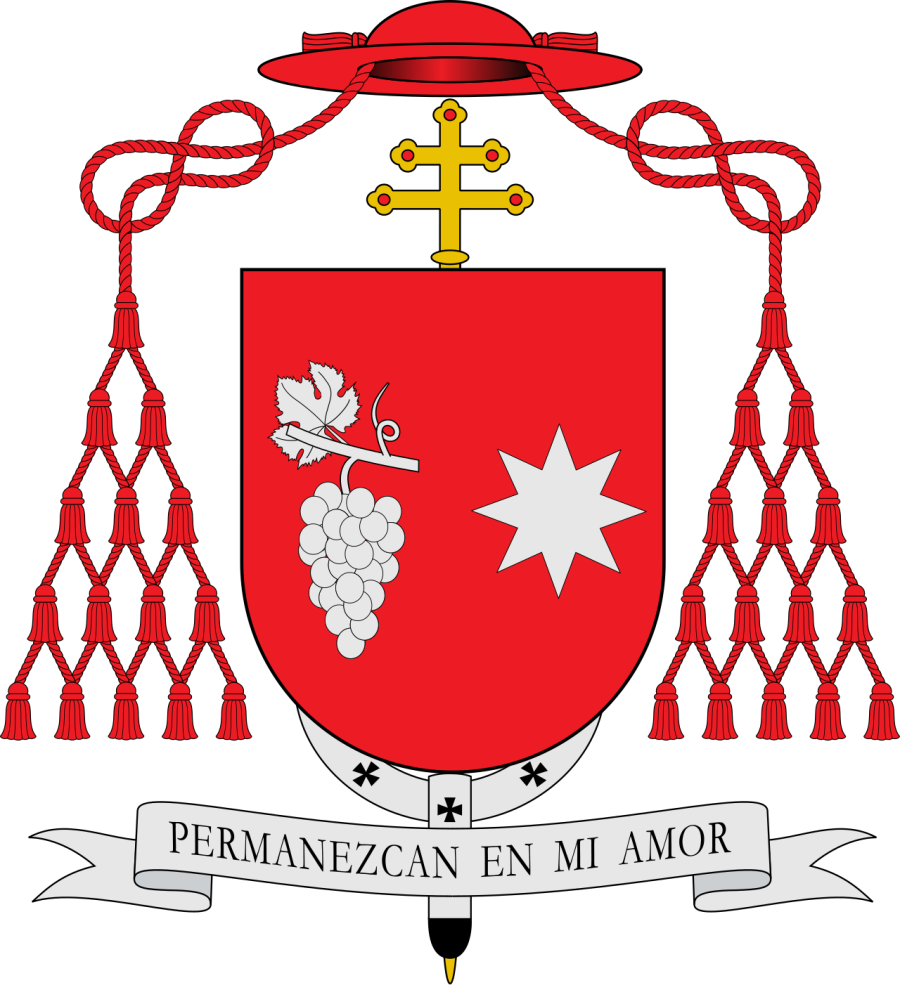 Luis Jose Rueda Aparicio