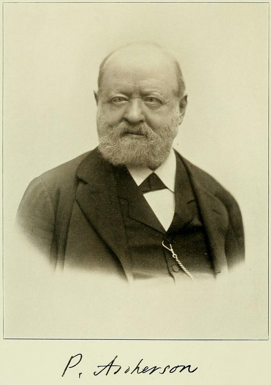 Paul Friedrich August Ascherson