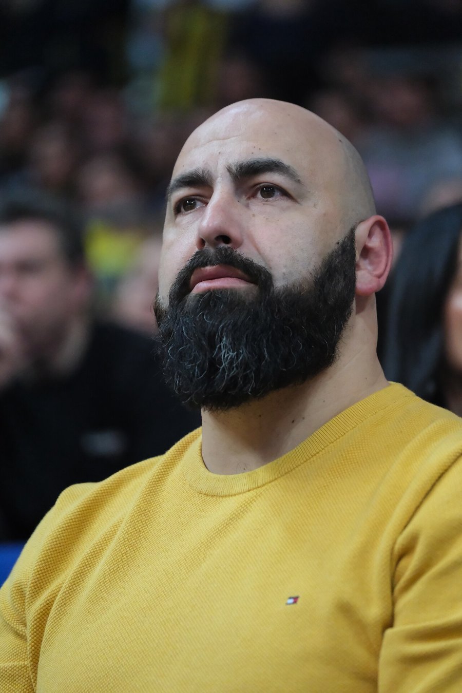 Pero Antic