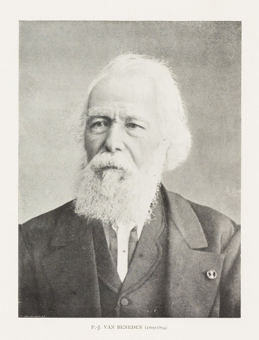 Pierre Joseph Van Beneden