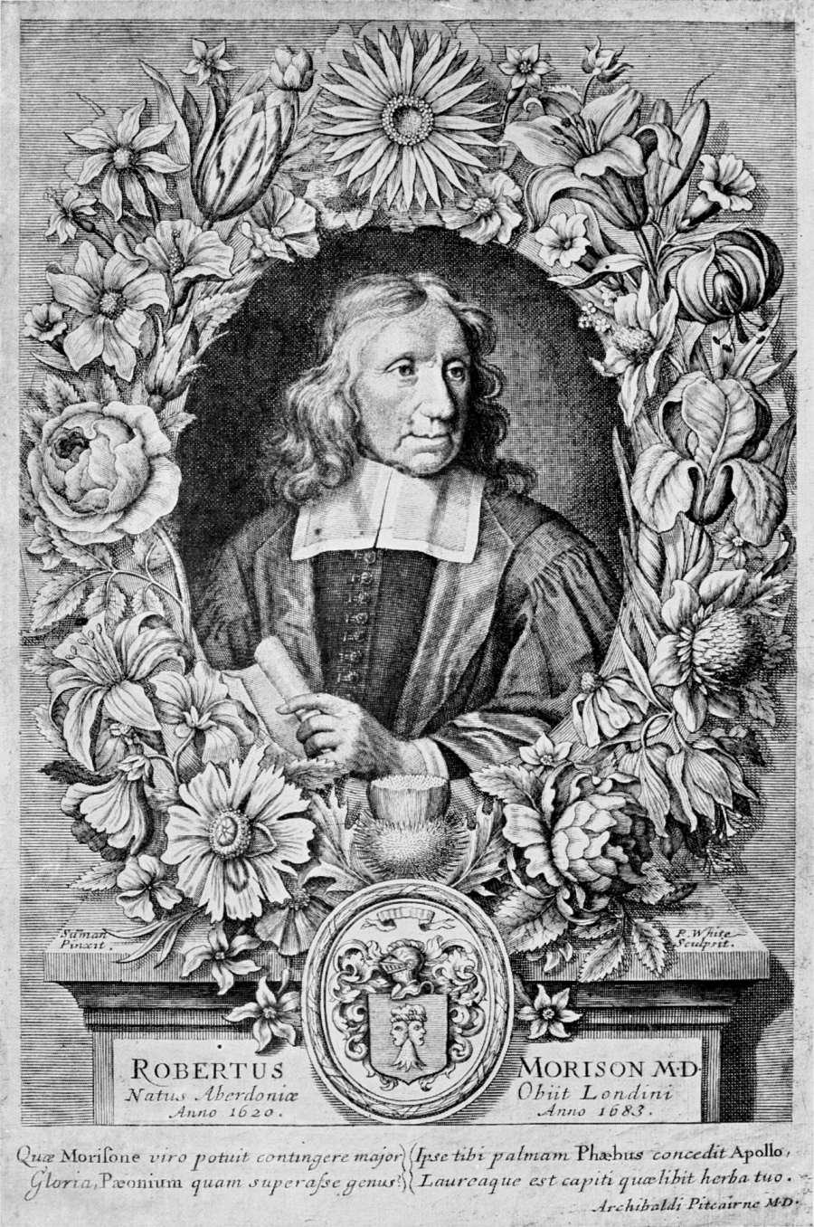 Robert Morison