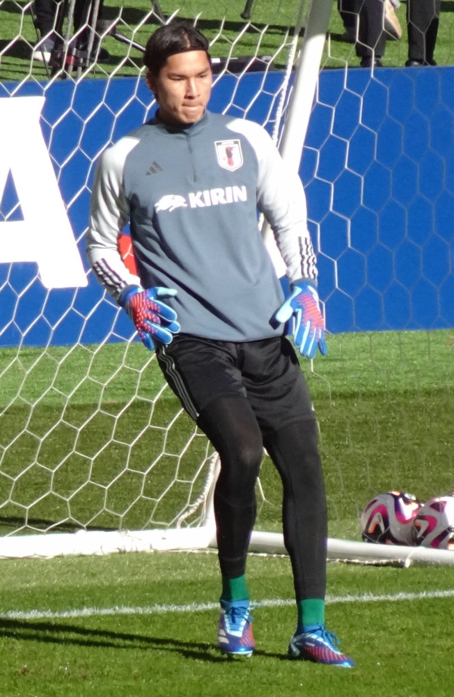 Taishi Brandon Nozawa