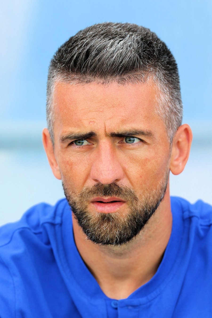 Vedad Ibisevic