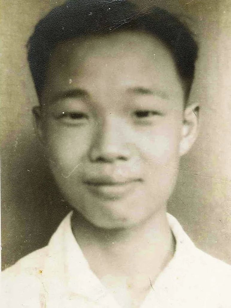 Wang Zhenyi